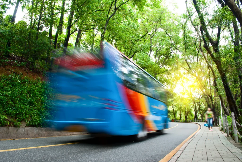 Transport International de Persoane
